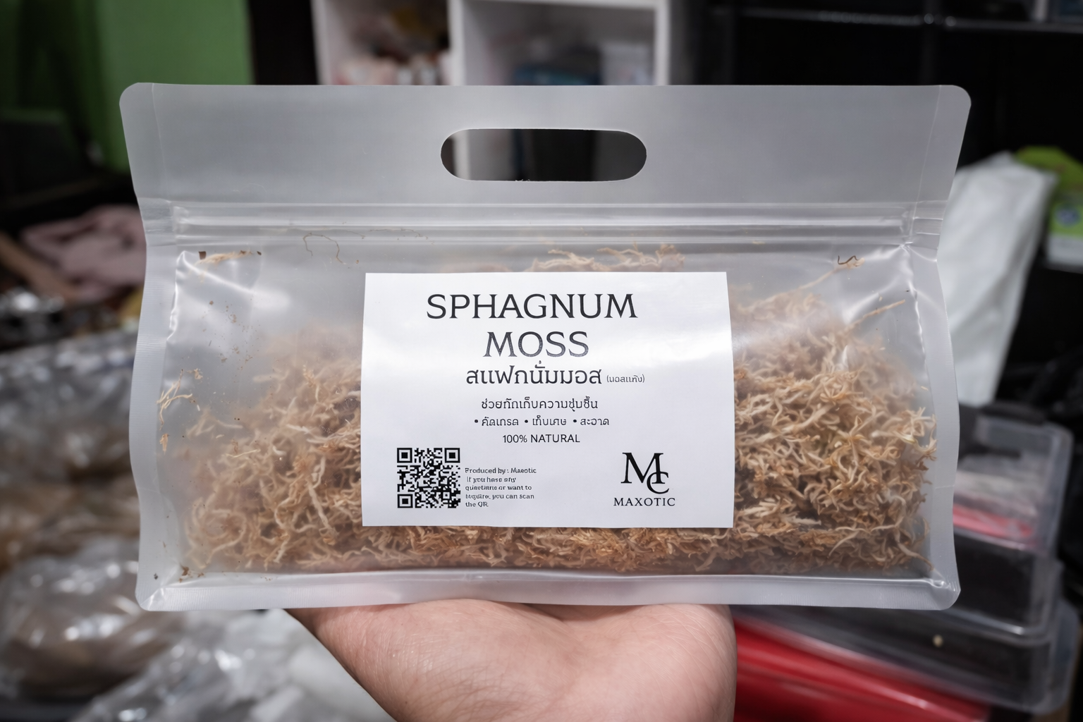SPHAGNUM MOSS – สแฟกนัมมอส ( สด )